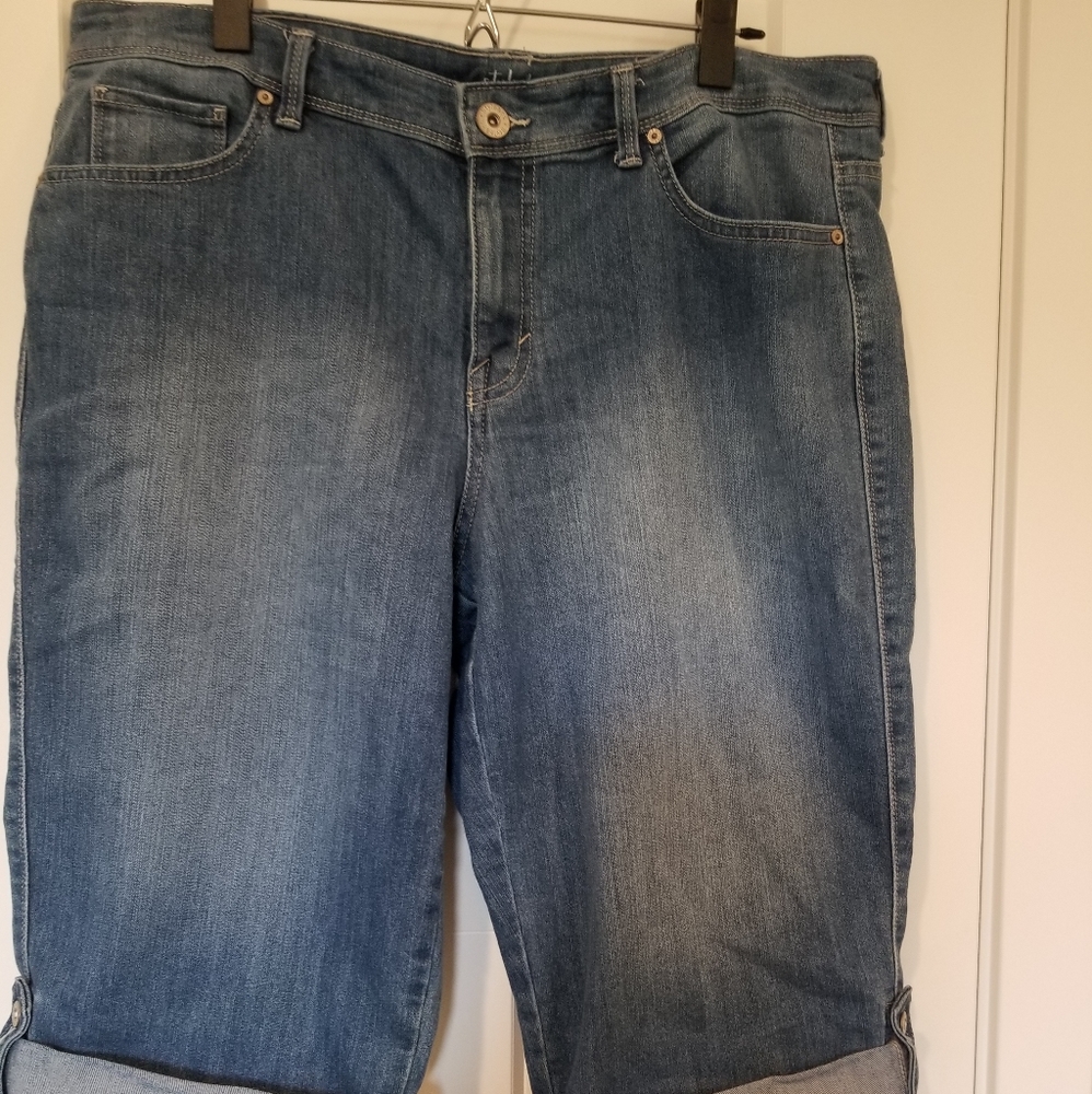 Style & Co Denim Shorts